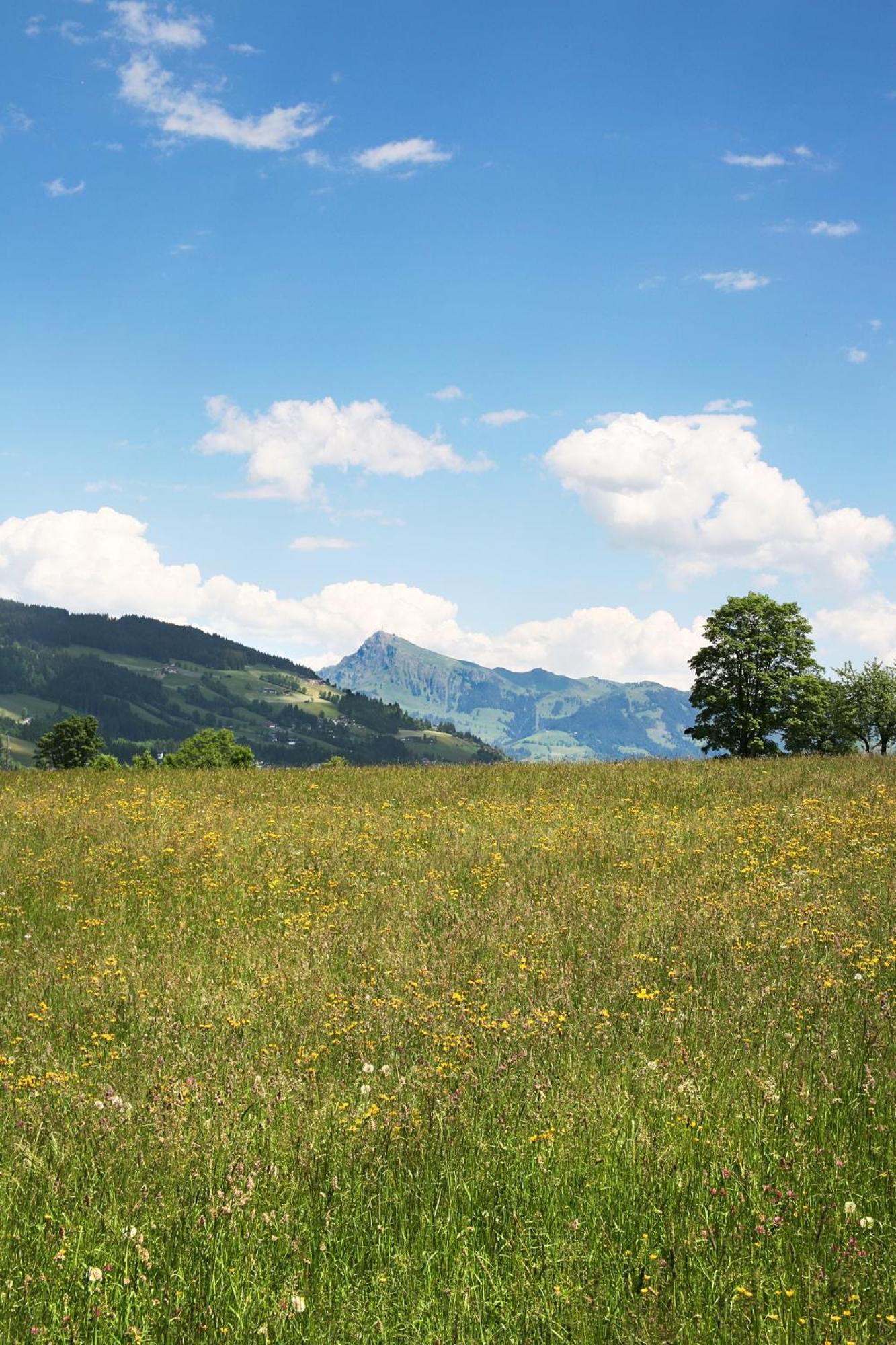 Loipenstubn Hotel Brixen im Thale Luaran gambar
